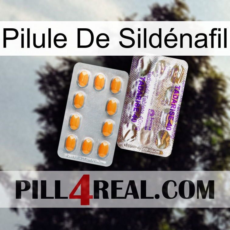 Pilule De Sildénafil new12
